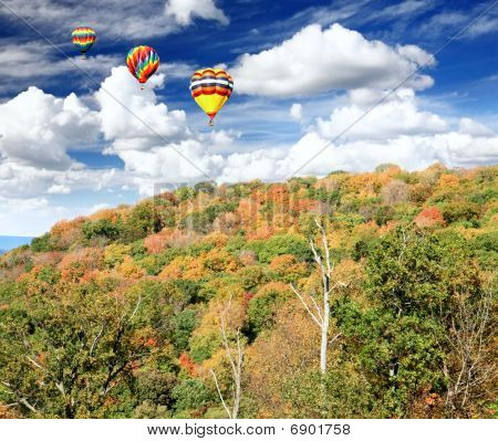 The Foliage Scenery