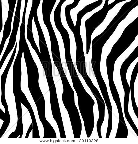 Zebra print