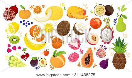 Set Of Colorful Hand Draw Fruits - Tropical Sweet Fruits, And Citrus Fruit Illustration. Apple, Pear