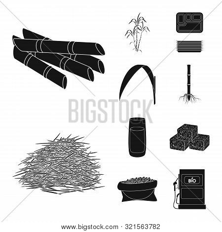 Vector Design Of Sucrose And Technology Icon. Set Of Sucrose And Cane Vector Icon For Stock.