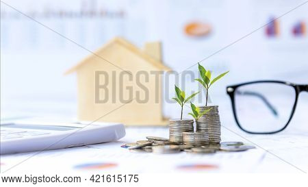 Investor Of Real Estate.  The Plants Growing On Money Coin Stack For Investment Home Green Nature Ba