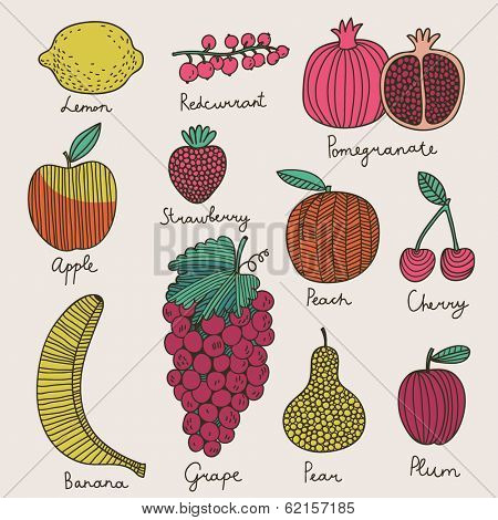 Bright fruit and berries set in vector. Lemon, redcurrant, apple, strawberry, banana, grape, pomegranate, peach, cherry, pear and plum. Tasty card in cartoon style