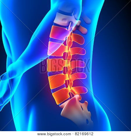 Lumbar Spine Anatomy Pain Concept