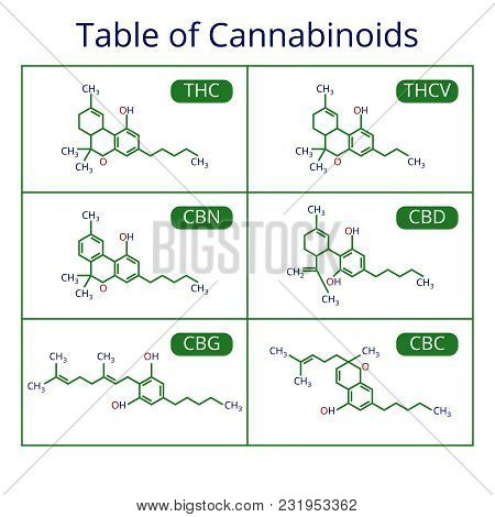 Cannabis Skeletal Cbd Formula. Marijuana Molecules Vector Set. Cannabis Formula Molecular, Chemistry