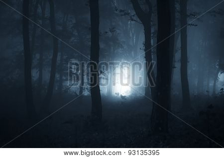 Path trough dark mysterious haunted forest at night