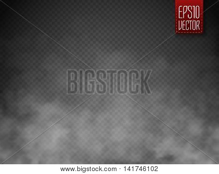 Fog or smoke isolated transparent special effect. White vector cloudiness mist or smog background. Magic template. Vector illustration