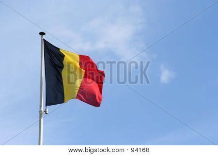 Vlag van België