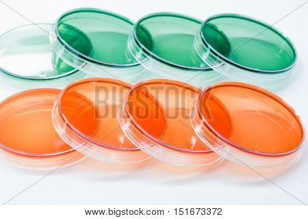 Ss Agar And Tcbs Agar