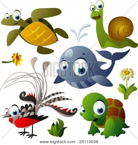 2010 animal set: turtle, tortoise, whale, snail, lyrebird