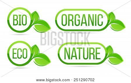 Organic, Natural, Bio, Eco Vector Labels. Eco, Bio, Organic, Nature Green Fresh Leaves Elements. Eco