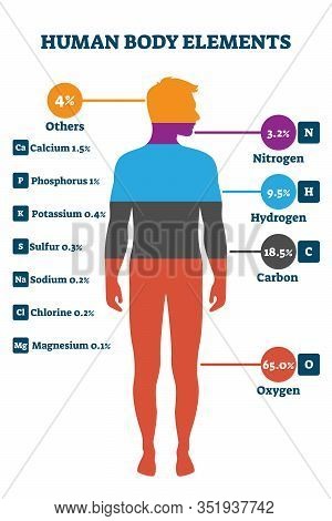 Human Body Elements, Vector Illustration Infographic. Proportional Percentage For Nitrogen, Hydrogen