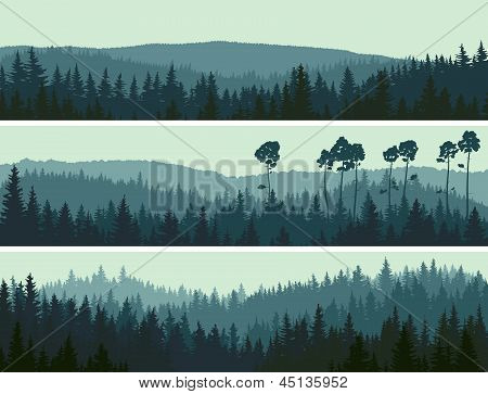 Horizontal Banners Of Hills Coniferous Wood.