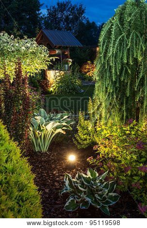 Illuminated Garden At Night