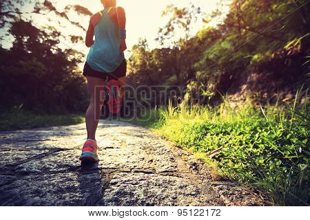 Runner athlete running on forest trail. woman fitness jogging workout wellness concept.