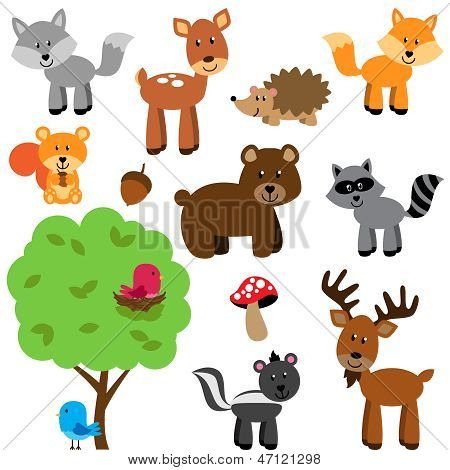 Vector Set carino bosco e gli animali della foresta