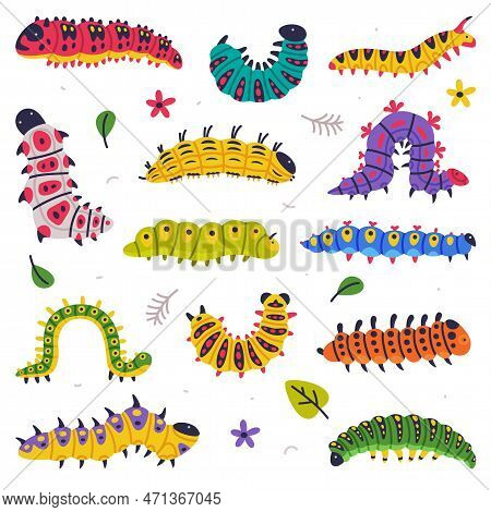 Bright Caterpillars As Larval Stage Of Insect Crawling And Creeping Vector Set