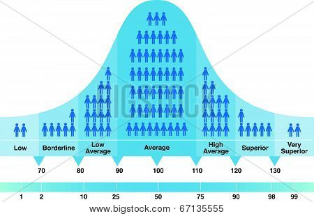 Bell Curve