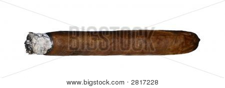 Cigar