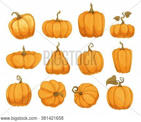 Cartoon Pumpkin Flat Icons Set. Orange And Yellow Autumn Pumpkins. Different Shapes And Sizes Of Pum