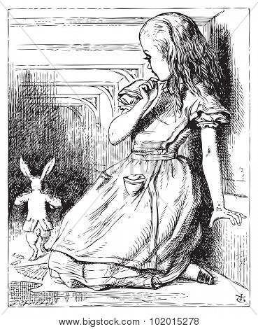 Alice in Wonderland. Alice grown big looking at the White Rabbit returning, splendidly dressed. Alice's Adventures in Wonderland. Illustration from John Tenniel, published in 1865.