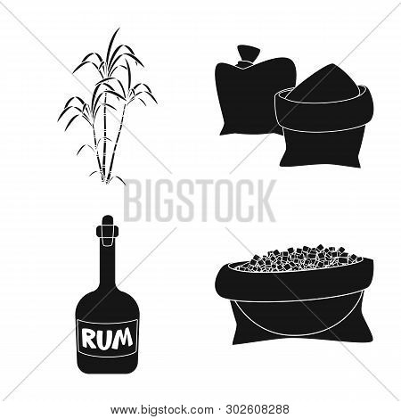 Vector Design Of Sucrose And Technology Sign. Set Of Sucrose And Cane Stock Vector Illustration.