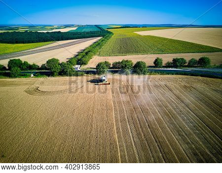 Aerial View On Combine Harvester Gathers The Wheat At Sunset. Harvesting Grain Field, Crop Season. V