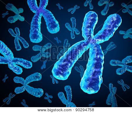 Chromosomes