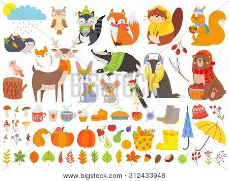 Autumn Forest Animals. Fall Squirrel, Funny Bear And Cute Autumnal Fox. Fallen Leaves, Deer Bear Rac