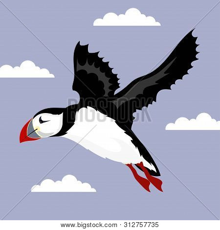 Adorable Illustration Of Flying Puffin With Colorful Markings On Beak, Cartoon Puffin Color Illustra