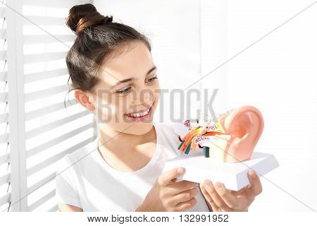 How is made the human ear? The girl is watching a model of the human auditory