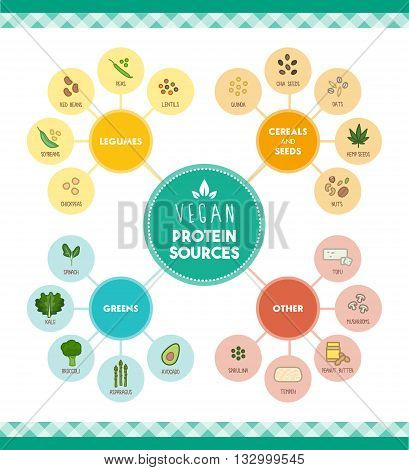 Vegan protein food sources infographic with food icons and categories