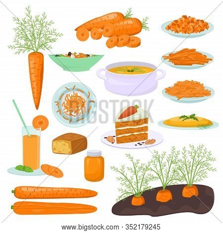 Carrot Food Products Vector Illustration. Dishes Prepared From Carrots, Carrot Cake, Pie, Soup, Sala