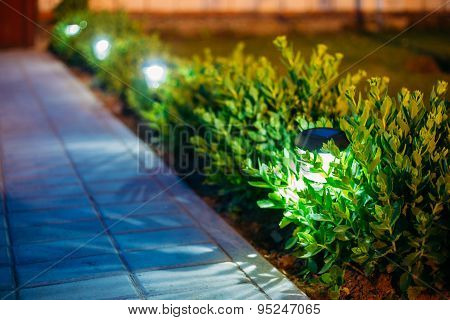 Solar Garden Light, Lanterns In Flower Bed. Garden Design