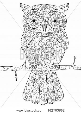 Owl on a branch coloring book for adults vector illustration. Anti-stress coloring for adult. Zentangle style bird. Black and white lines. Lace pattern