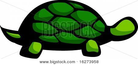 turtle