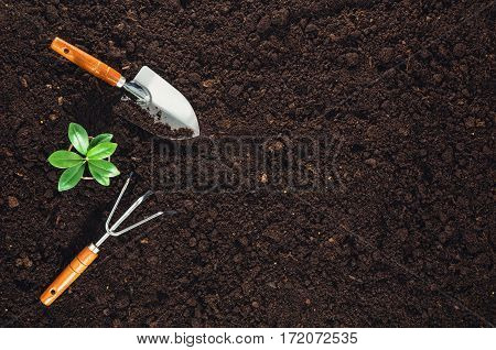 Gardening tools on fertile soil texture background seen from above, top view. Gardening or planting concept. Working in the spring garden.