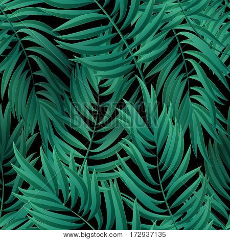 Tropical Palm leaves. Tropic palm. Tropical Palm leaf. Green tropic palm. Green palm summer tropical leaves. Tropic leaves frame.Green summer tropic palm leaves.