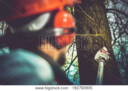 Taking Care of Trees by Removing Damaged and Dead Tree Branches Using Electric Wood Cutter on Extended Pole. Professional Gardener Job.