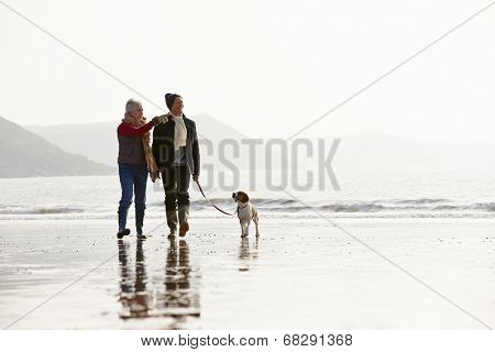 Senior Couple Walking Along Winter Beach With Pet Dog