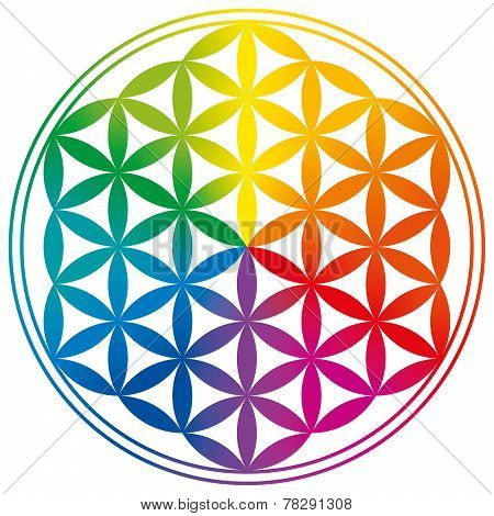 Flower of Life Rainbow Gradients