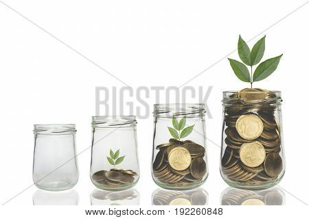 Coins and plant in bottle Business investment growth and saving concept. Coins in bottle on white background Business investment growth concept