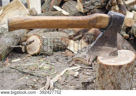 Axe In Stump. Axe Ready For Cutting Timber.woodworking Tool. Lumberjack Axe In Wood, Chopping Timber