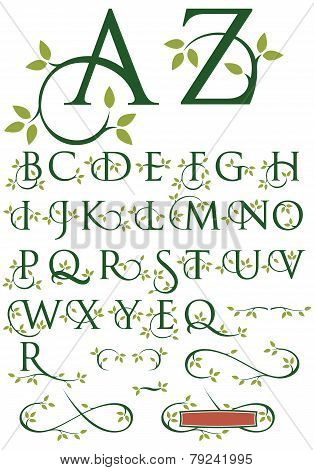 Ornate Swash Alphabet with Leaves