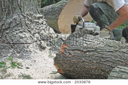 Removing A Tree