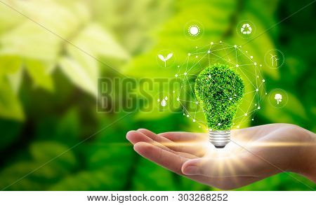 Hand Holding Light Bulb Against Nature On Green Leaf With Icons Energy Sources For Renewable, Sustai