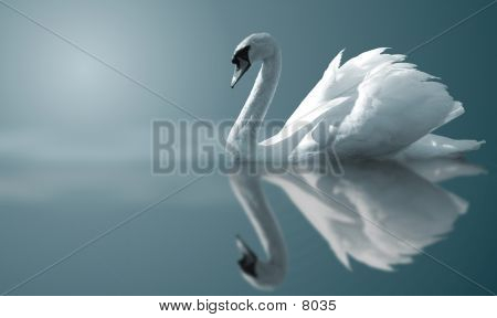 Swan-heijastuksia