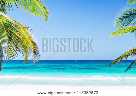 Tropical Seaside View And Palm Trees Over Turquoise Sea At Exotic Sandy Beach In Caribbean Sea