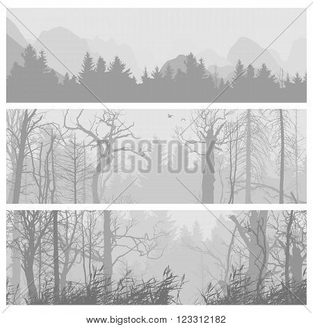 Wild forest background. Wild forest horizontal banners. Forest design template. landscape nature, wood natural panorama. Outdoor camping design template. Journey banner collection. Vector illustration