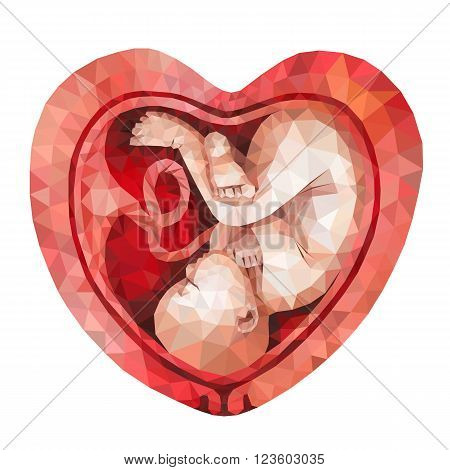 Low poly vector fetus inside the heart shaped womb isolated on white background. Polygonal baby.