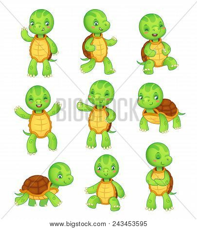 Cartoon Turtle. Cute Fun Kids Turtles, Wild Animals Character Set. Tortoise Colorful Isolated Charac